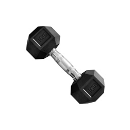 Mancuerna Hexagonales Hierro Recubierto Dumbbell 10kg