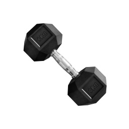 Mancuerna Hexagonales Hierro Recubierto Dumbbell 30kg