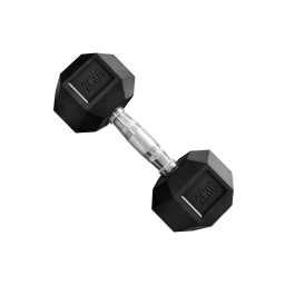 Mancuerna Hexagonales Hierro Recubierto Dumbbell 20kg