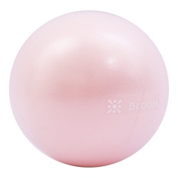 Mini Pelota de Pilates Yoga Rehabilitacin 20cm PRO LIVEPRO