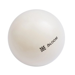 Mini Pelota de Pilates Yoga Rehabilitacin 20cm PRO LIVEPRO